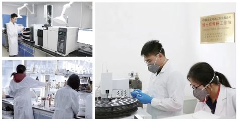 六五環境日|中科鼎實沖鋒在前，以技術創新守護綠水青山